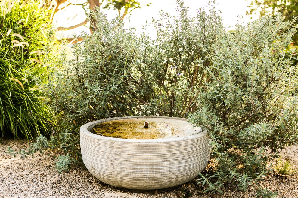 Nature Enthusiast by Molly Wood Garden Design - Photo 3