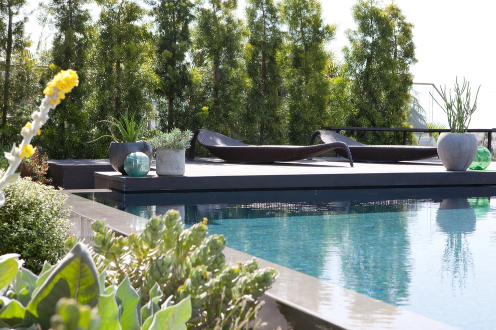 Masculine Modern by Molly Wood Garden Design - Photo 4