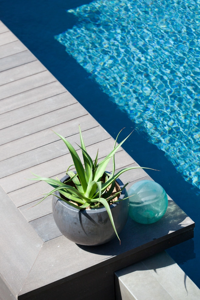 Masculine Modern by Molly Wood Garden Design - Photo 3