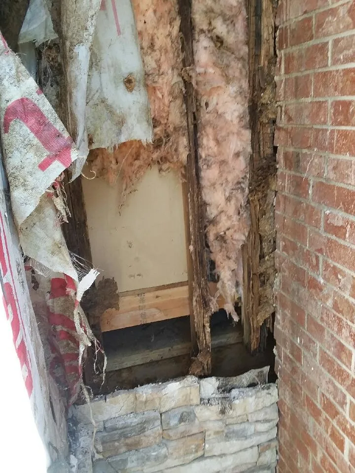Rot Repair Renovation by Trade Pro Construction - Photo 6