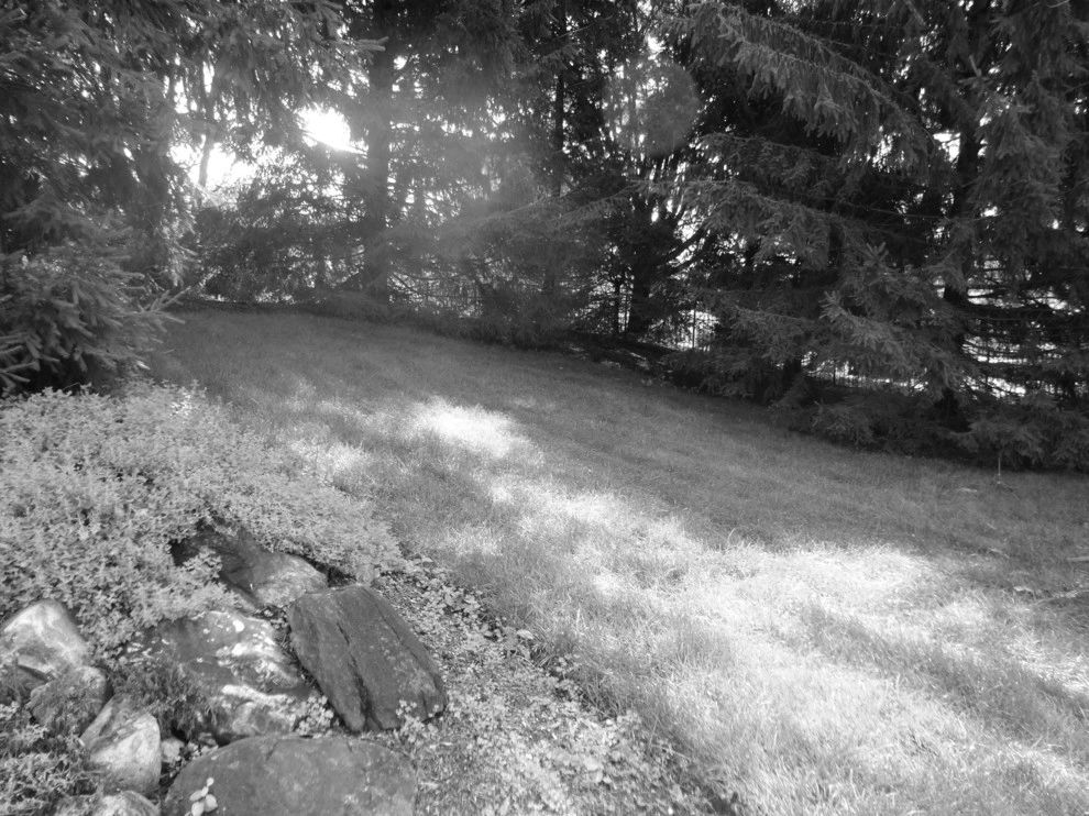 Apple Tree Landscapes, Inc. - Photo 7