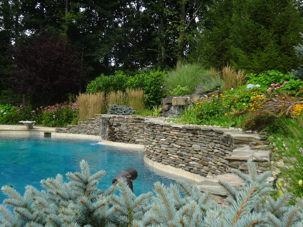 A Lush Backyard Poolscape by Apple Tree Landscapes, Inc. - Photo 4