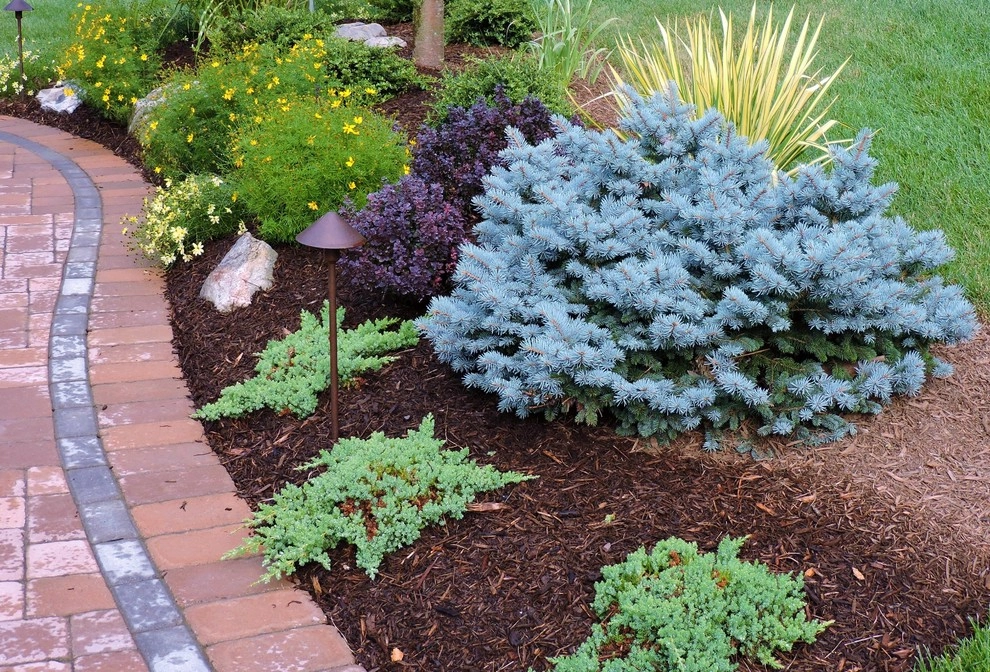 Planting Schemes by Apple Tree Landscapes, Inc. - Photo 29