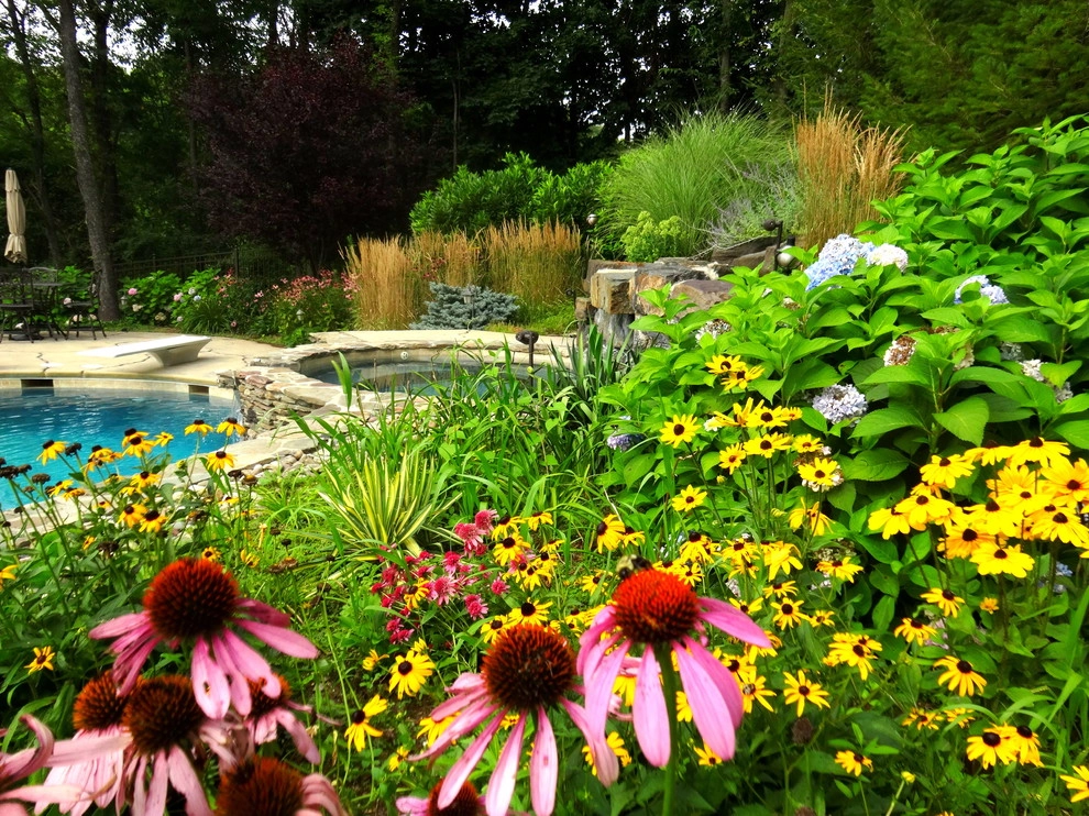 Planting Schemes by Apple Tree Landscapes, Inc. - Photo 3