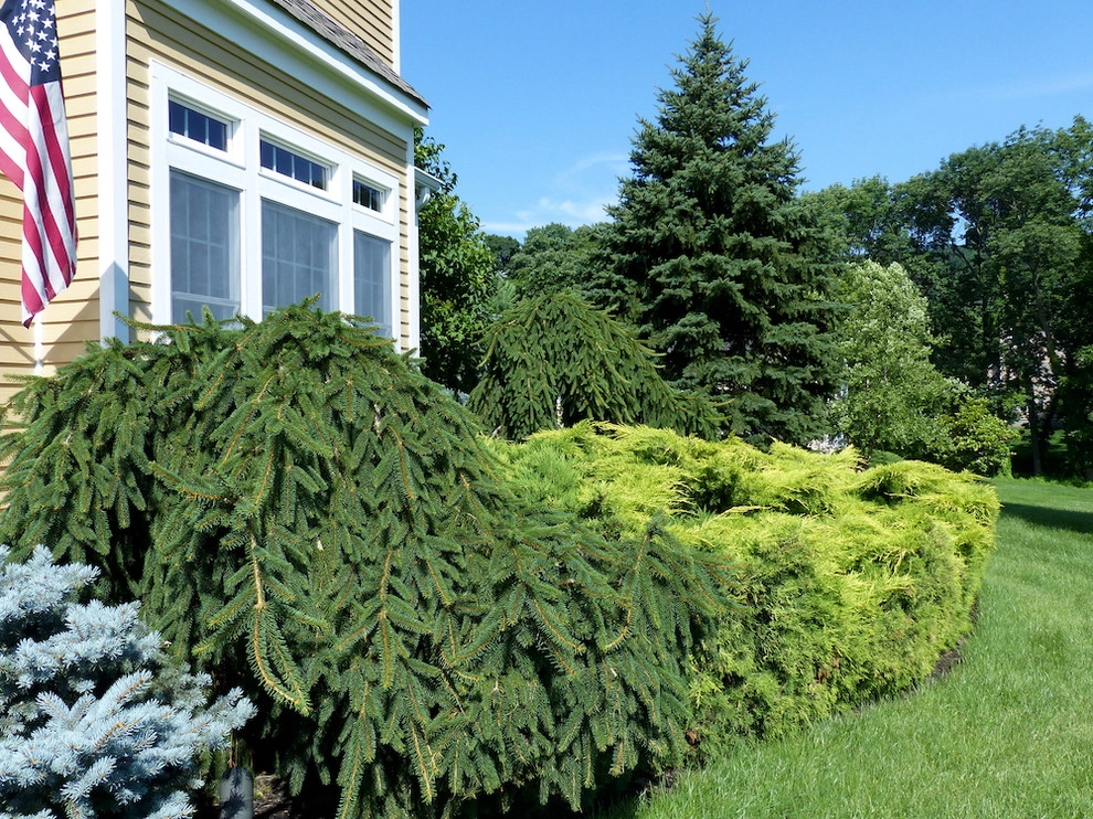 Planting Schemes by Apple Tree Landscapes, Inc. - Photo 13