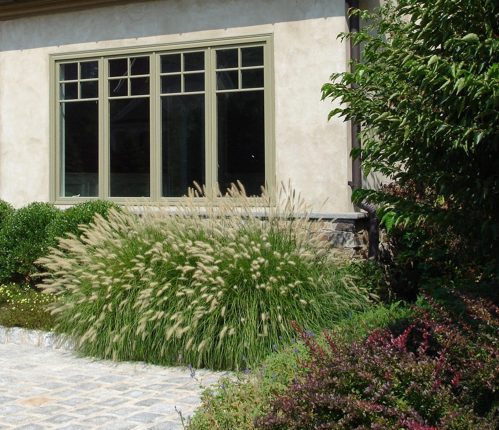 Planting Schemes by Apple Tree Landscapes, Inc. - Photo 16