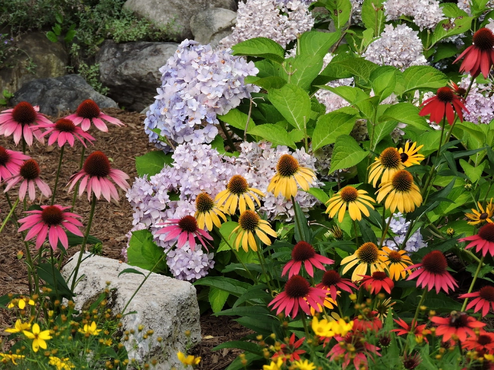 Planting Schemes by Apple Tree Landscapes, Inc. - Photo 39