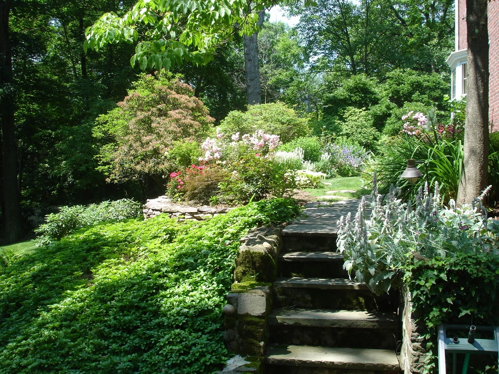 Planting Schemes by Apple Tree Landscapes, Inc. - Photo 10