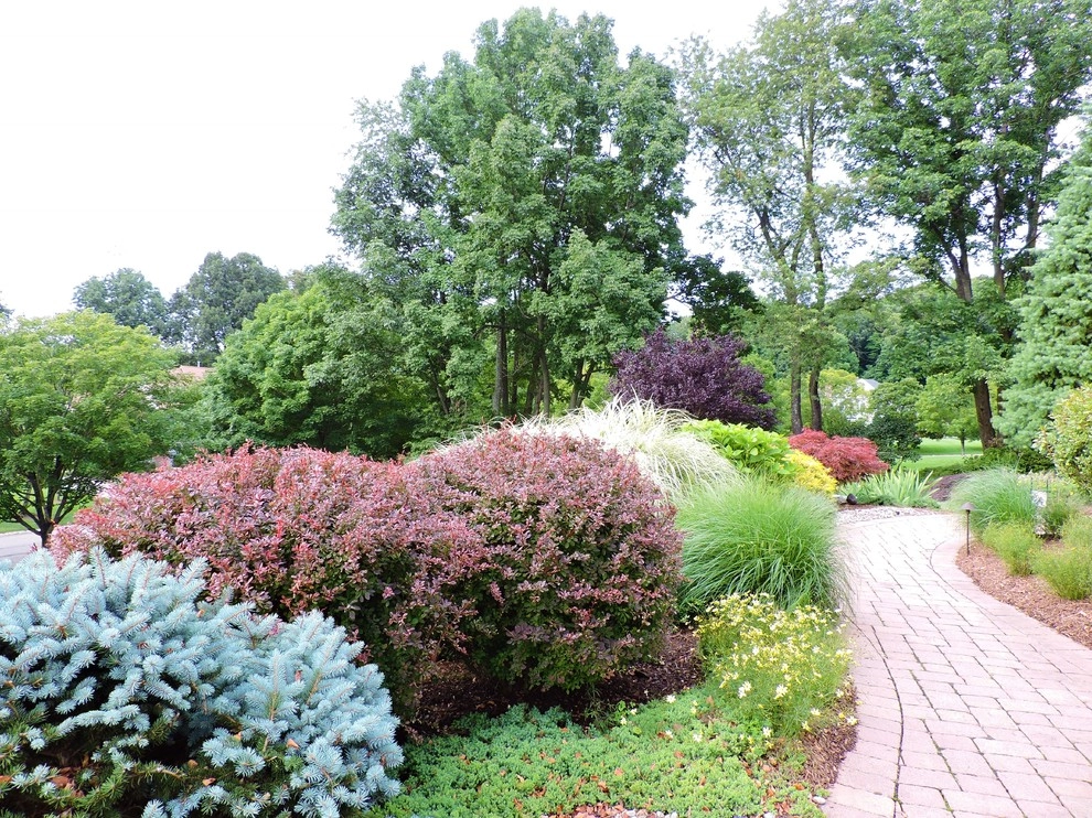 Planting Schemes by Apple Tree Landscapes, Inc. - Photo 35