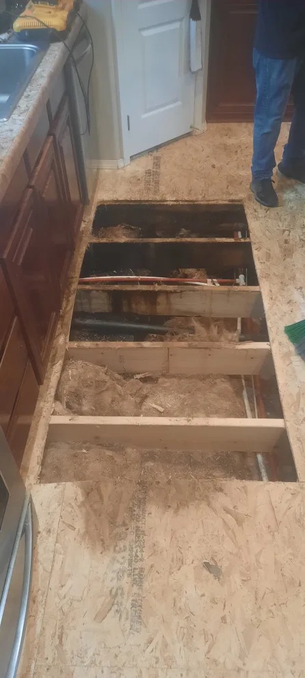 Selma Flooring by Jb Flooring And Construction - Photo 2