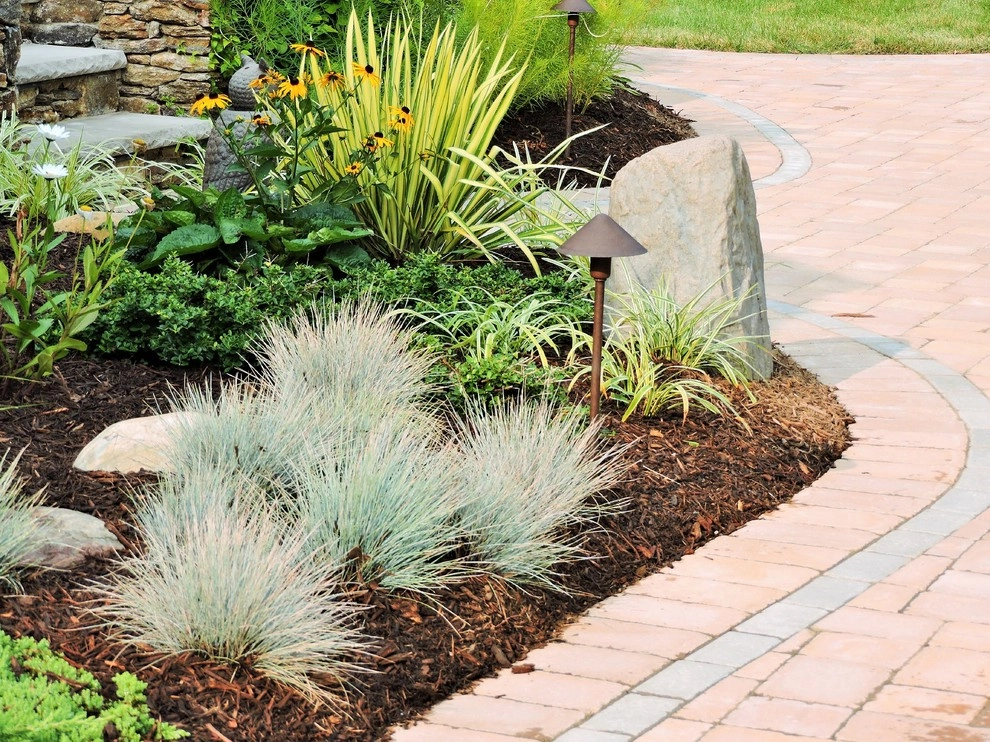Planting Schemes by Apple Tree Landscapes, Inc. - Photo 4
