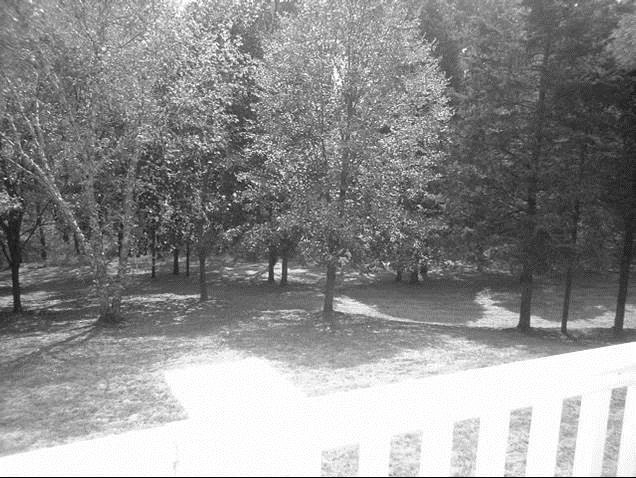 Before / Afters by Apple Tree Landscapes, Inc. - Photo 51