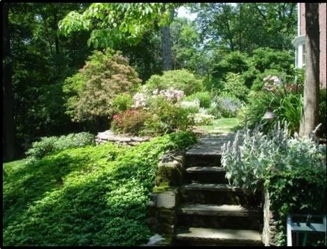 Before / Afters by Apple Tree Landscapes, Inc. - Photo 49