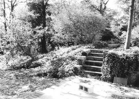 Before / Afters by Apple Tree Landscapes, Inc. - Photo 30