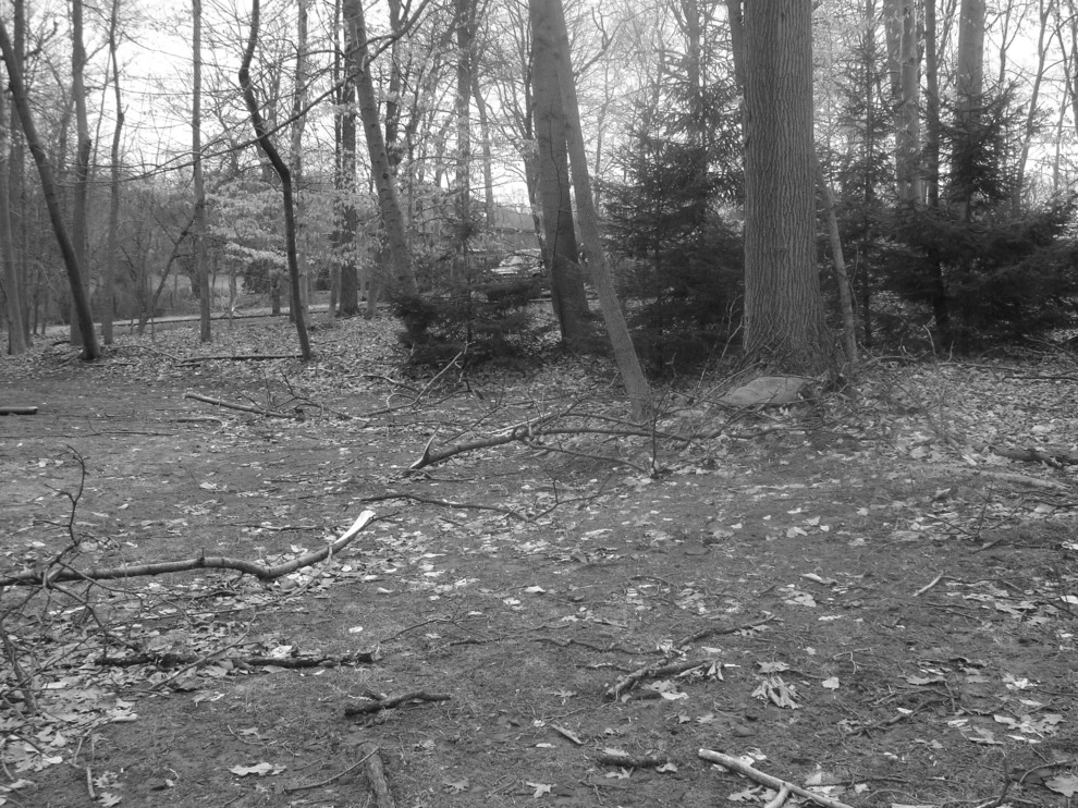 Apple Tree Landscapes, Inc. - Photo 3