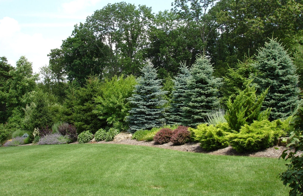 Planting Schemes by Apple Tree Landscapes, Inc. - Photo 33