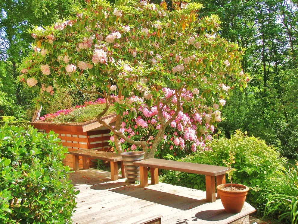 Magnolia at a Lower Level by Paulsen Construction Services, LLC - Photo 8