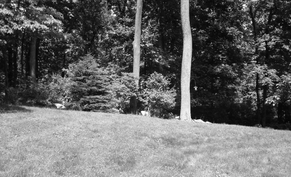 Before / Afters by Apple Tree Landscapes, Inc. - Photo 11