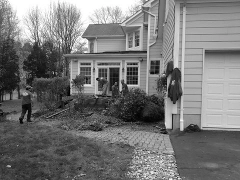 Before / Afters by Apple Tree Landscapes, Inc. - Photo 29