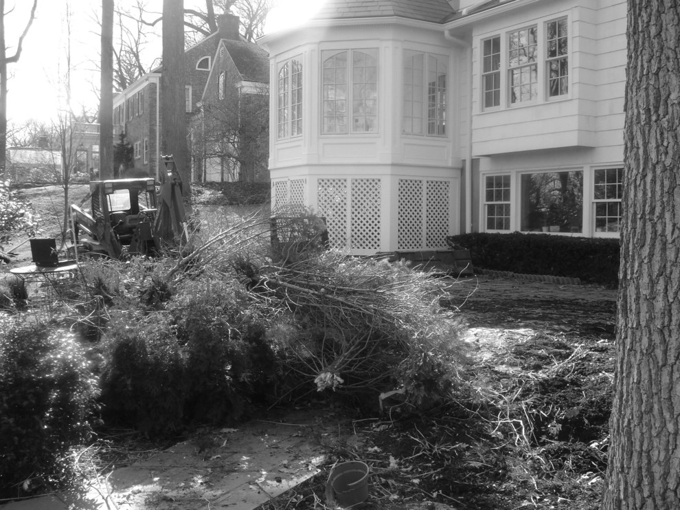 Before / Afters by Apple Tree Landscapes, Inc. - Photo 21