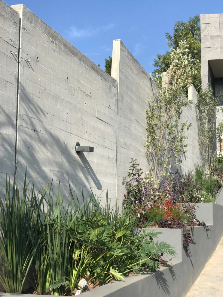 CASA D by Aveille Landscape - Photo 4
