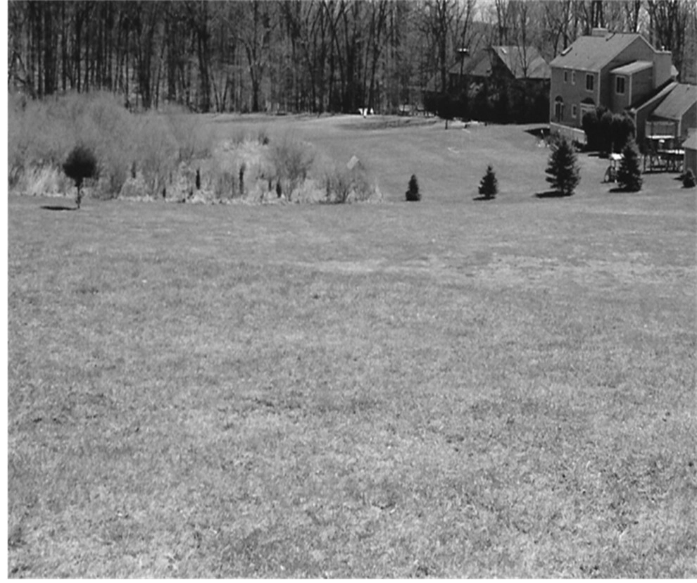Before / Afters by Apple Tree Landscapes, Inc. - Photo 70
