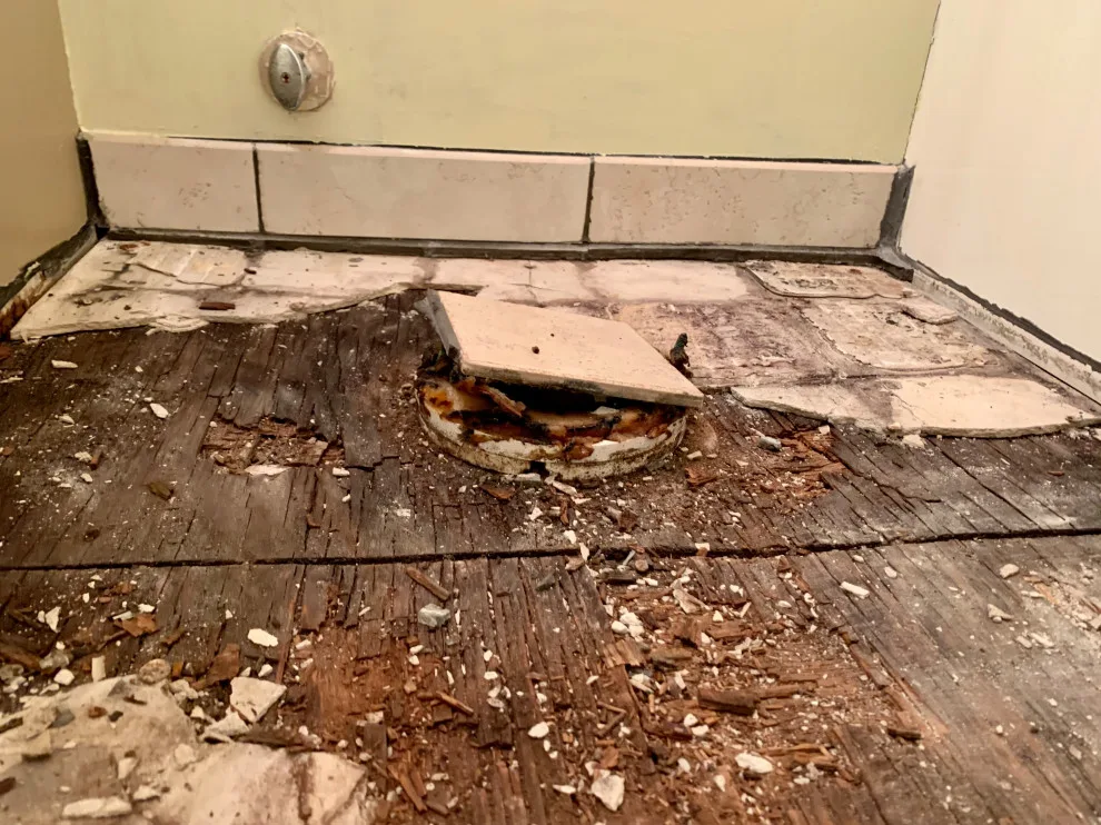 Renovation - Lin Don Drive, Somerset, KY by The Helpful Neighbors - Photo 3