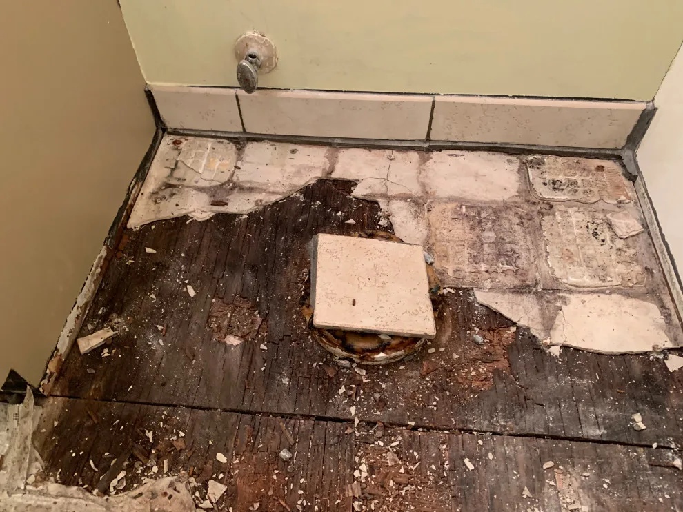 The Helpful Neighbors - Photo 11