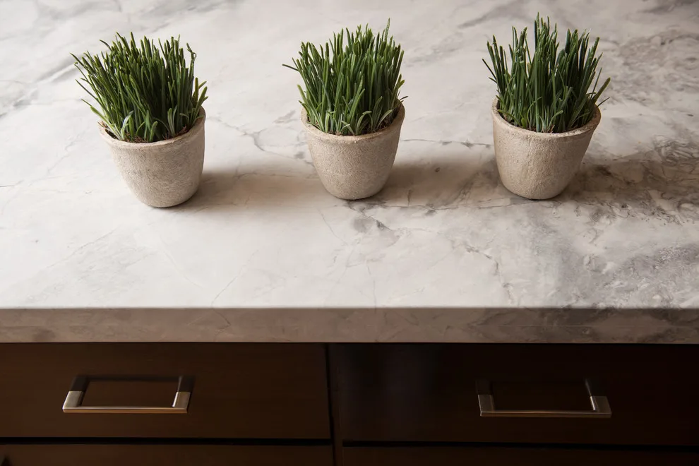 Sylvan Heights Kitchen by Emergent Construction - Photo 6