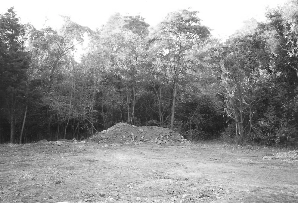 Before / Afters by Apple Tree Landscapes, Inc. - Photo 3