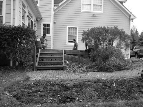 Before / Afters by Apple Tree Landscapes, Inc. - Photo 39