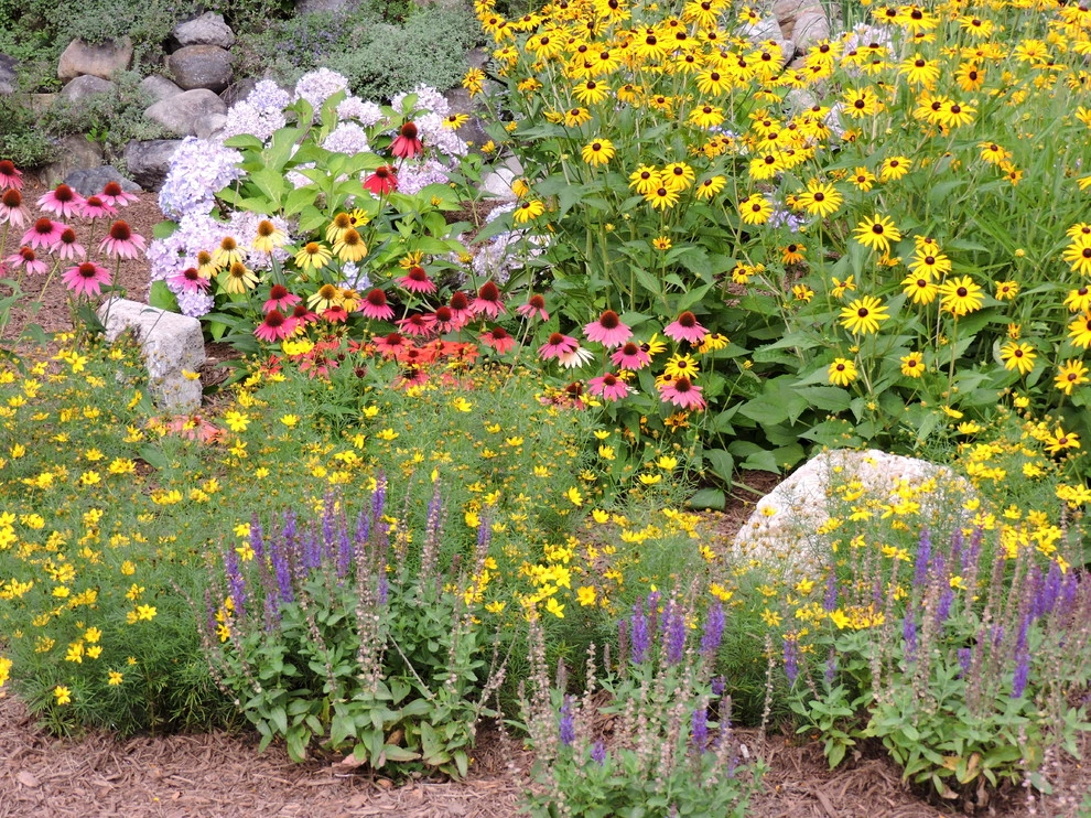 Planting Schemes by Apple Tree Landscapes, Inc. - Photo 34