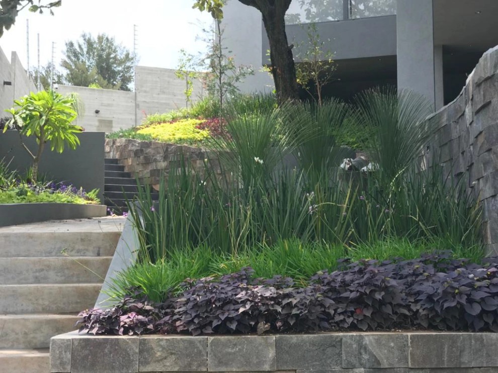 CASA D by Aveille Landscape - Photo 2
