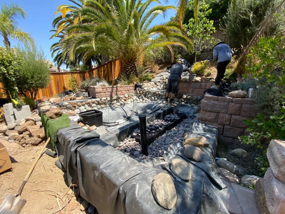 Pond with Turtles, Beach, and Wetland Filtration System by AJM Construction & Repairs - Photo 2