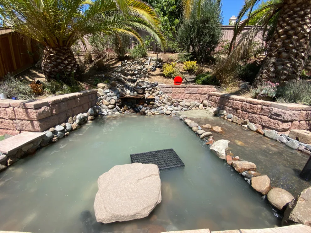 Pond with Turtles, Beach, and Wetland Filtration System by AJM Construction & Repairs - Photo 3
