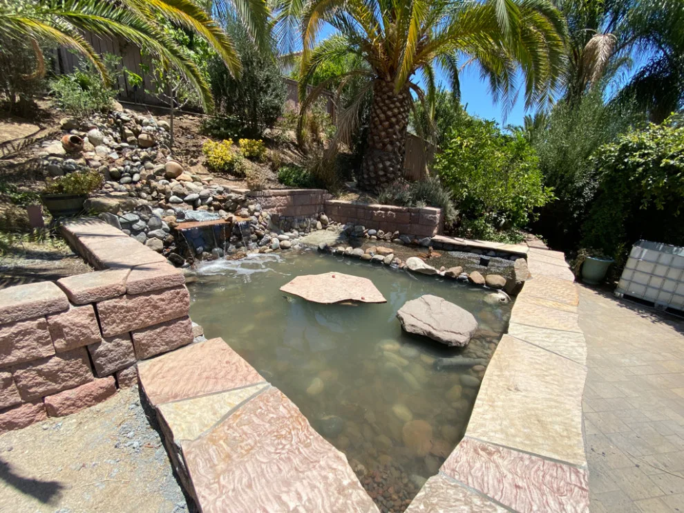 Pond with Turtles, Beach, and Wetland Filtration System by AJM Construction & Repairs - Photo 5