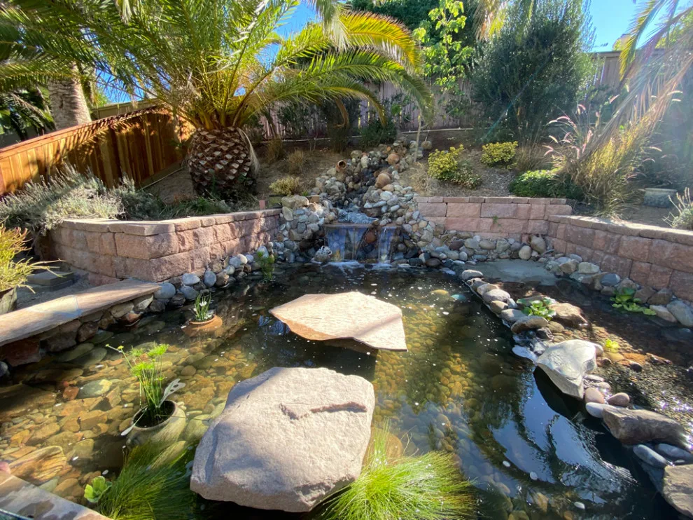 Pond with Turtles, Beach, and Wetland Filtration System by AJM Construction & Repairs - Photo 7