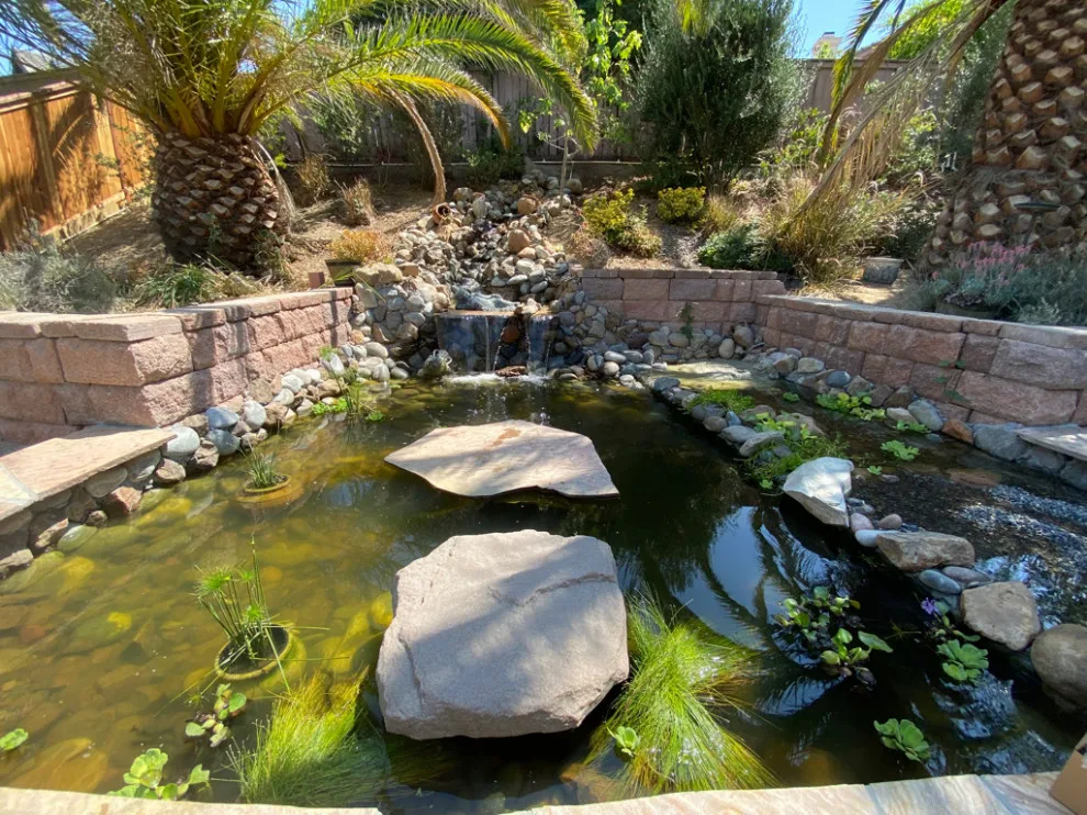 Pond with Turtles, Beach, and Wetland Filtration System by AJM Construction & Repairs - Photo 9