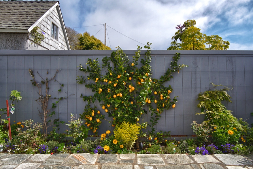 French Courtyard and Frontyard by Mooch Exterior Designs, Inc. - Photo 2