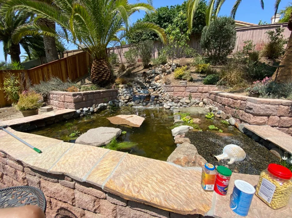 Pond with Turtles, Beach, and Wetland Filtration System by AJM Construction & Repairs - Photo 8