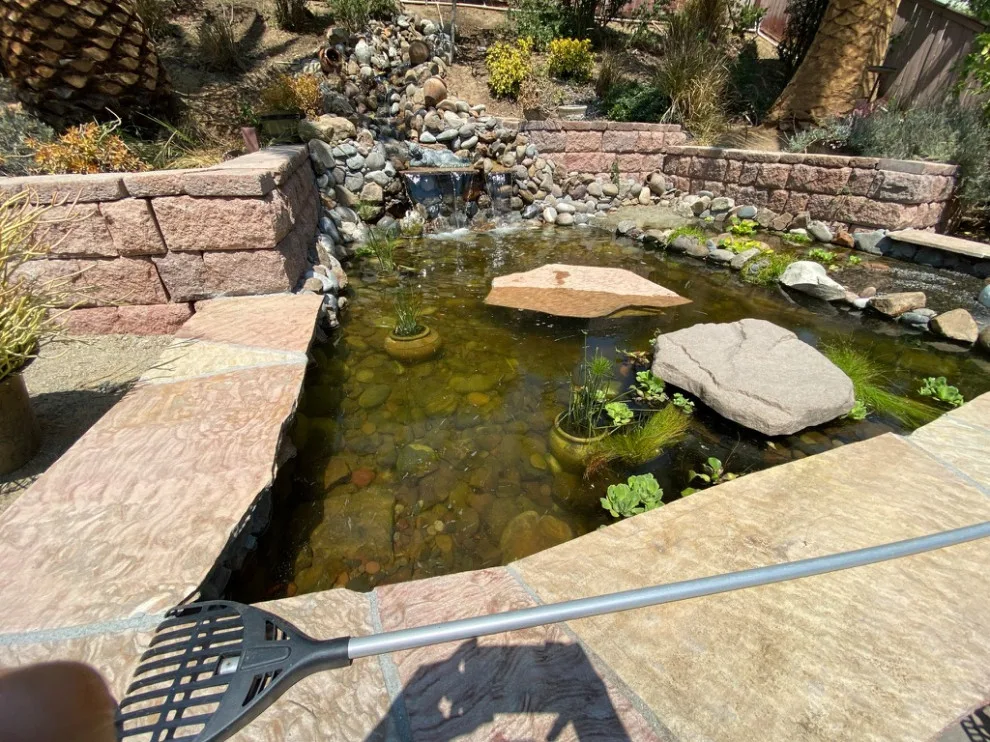 Pond with Turtles, Beach, and Wetland Filtration System by AJM Construction & Repairs - Photo 11