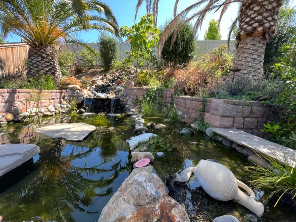 Pond with Turtles, Beach, and Wetland Filtration System by AJM Construction & Repairs - Photo 4