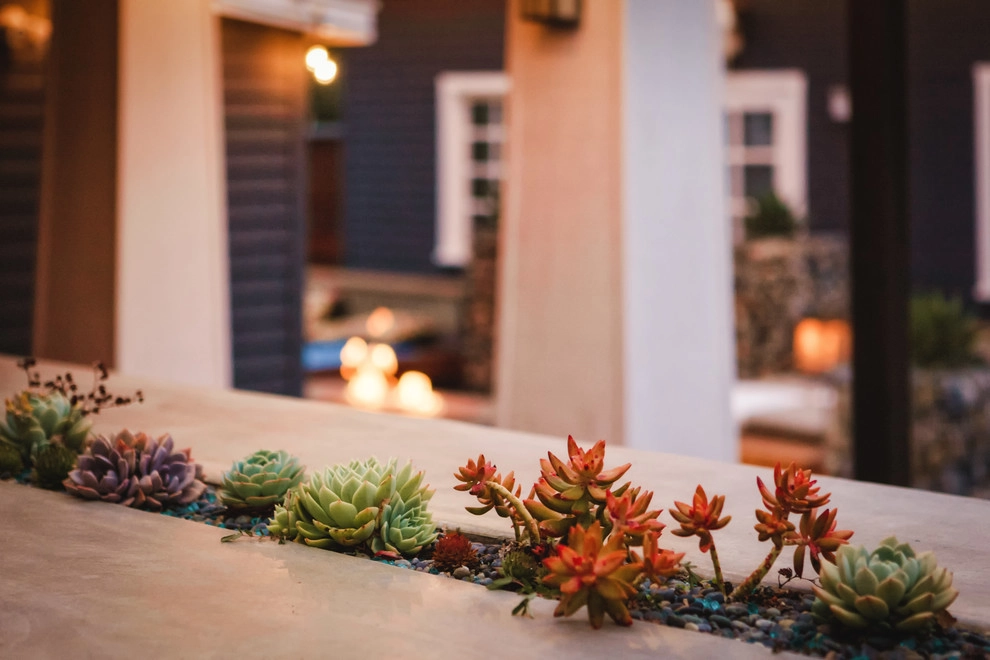 Modern San Diego Backyard by Mooch Exterior Designs, Inc. - Photo 7