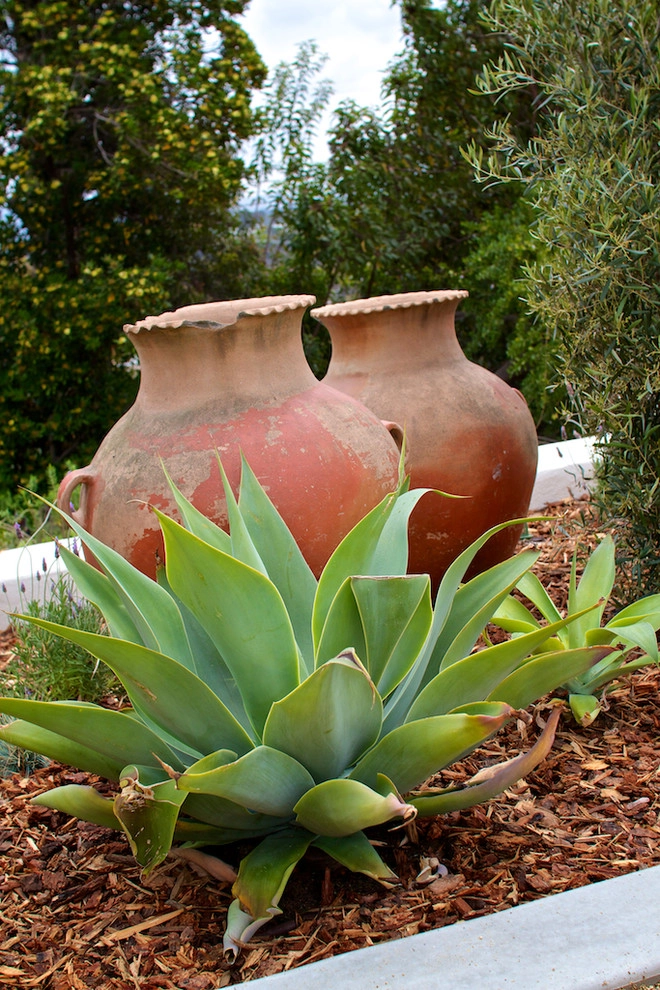 Spanish San Diego Front Yard by Mooch Exterior Designs, Inc. - Photo 3
