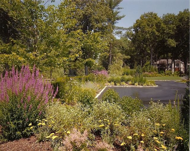 Muttontown Driveway and Planting by Morell Landscape Associates - Photo 3