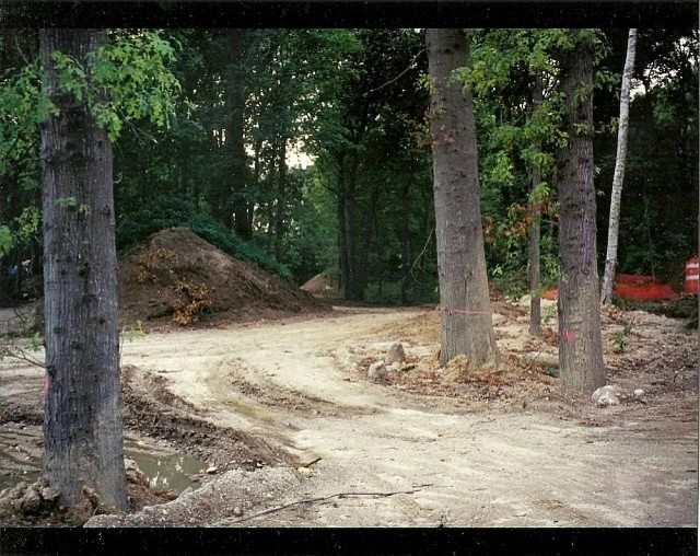Muttontown Project by Morell Landscape Associates - Photo 9