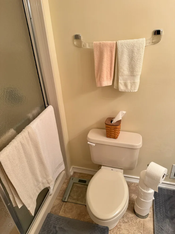 Noblesville West Bathroom Renovation by Morrolina Construction - Photo 7