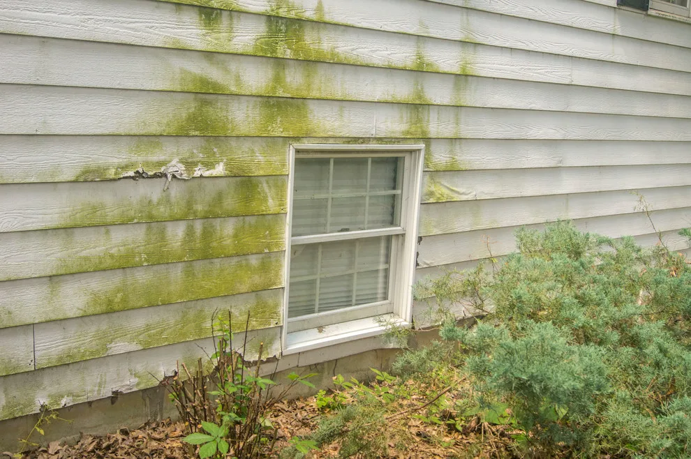 Siding Renovation and Deck Installation by Trueson Exteriors - Photo 2