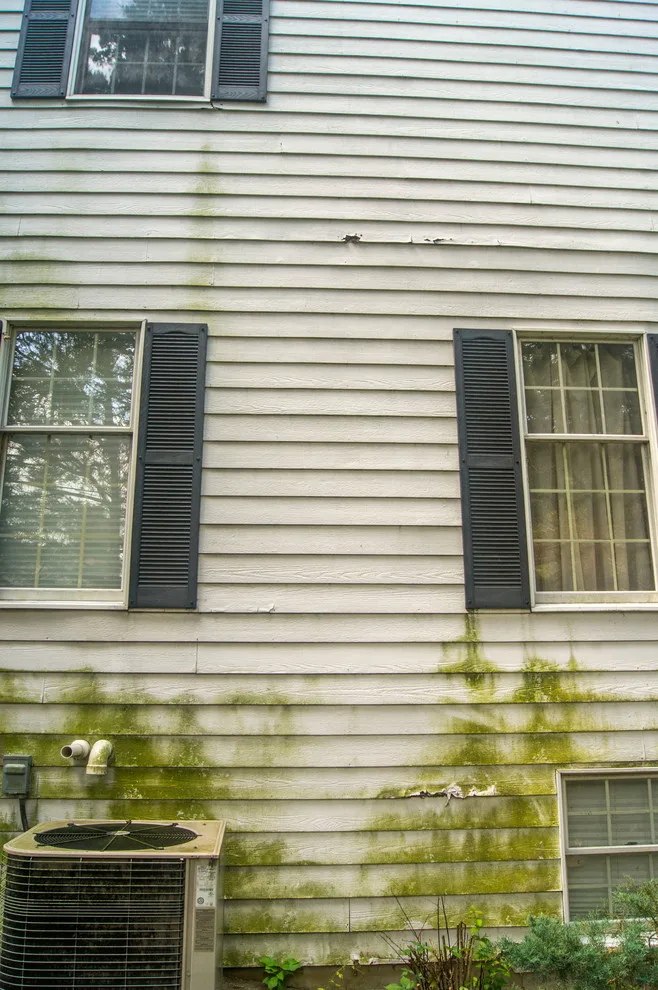 Siding Renovation and Deck Installation by Trueson Exteriors - Photo 4