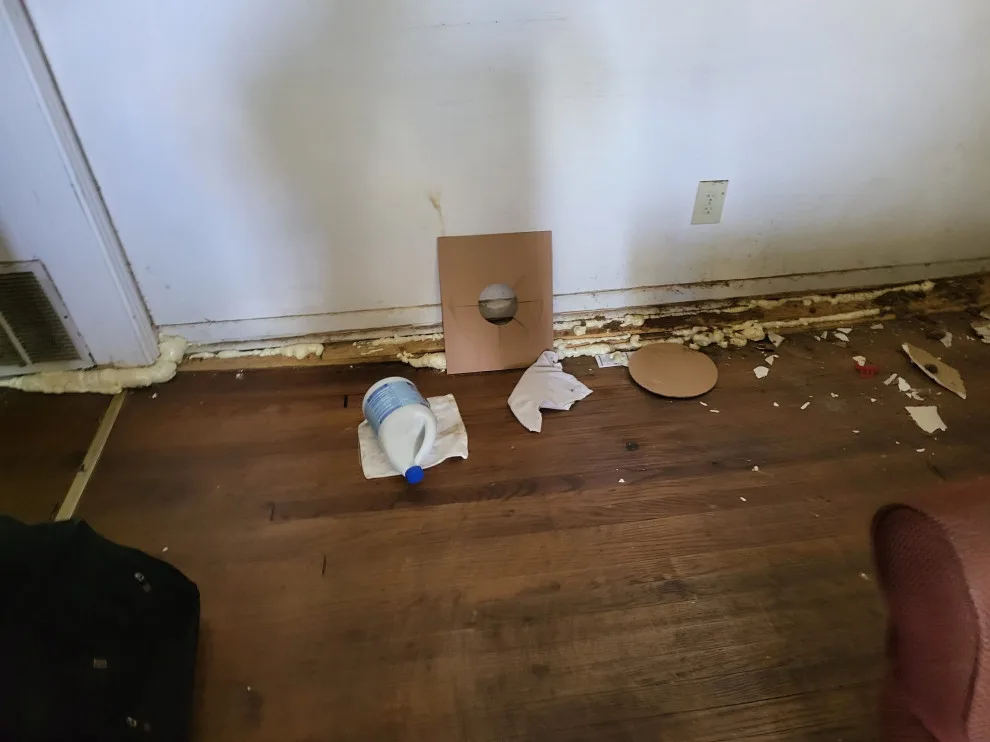 Tiger Painting & Remodeling LLC - Photo 7